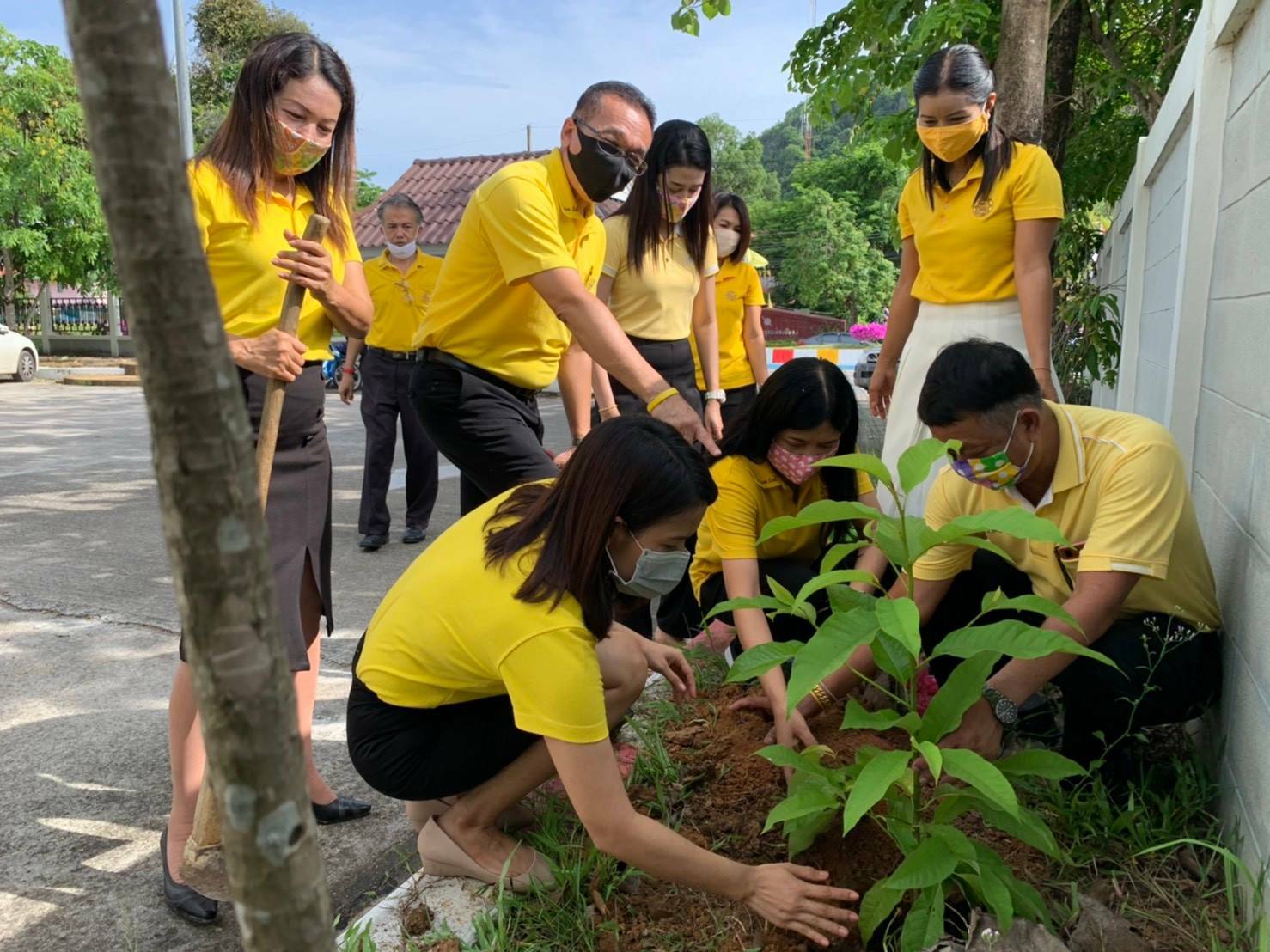 ﻿สำนักงานบังคับคดีจังหวัดพัทลุง จัดกิจกรรมปลูกต้นไม้ประจำปีของชาติ
